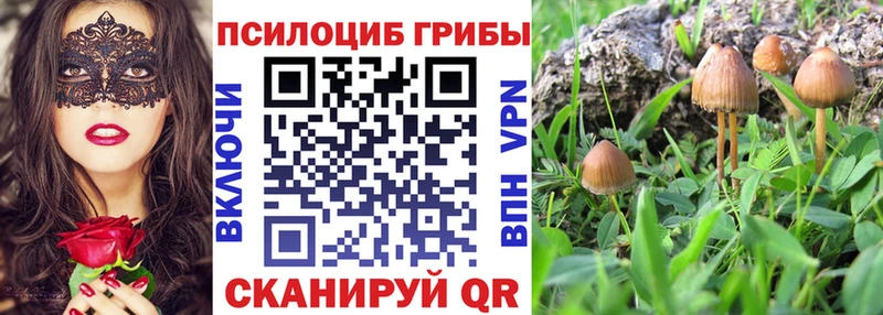 купить  сайты  нарко площадка какой сайт  Галлюциногенные грибы Psilocybine cubensis  Камень-на-Оби  гидра как зайти 